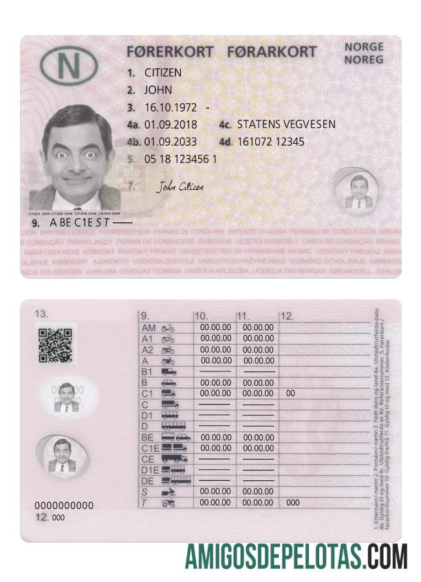 Carta de condução da Noruega 2018 presente exemplo real